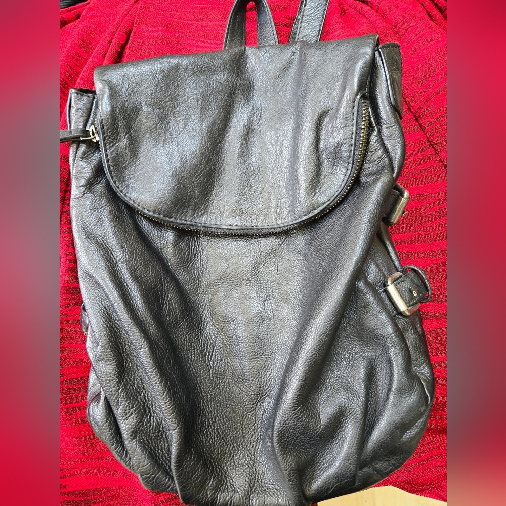 FRYE & Co Black Leather Backpack Bag Purse Handbag EUC